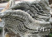 千层石