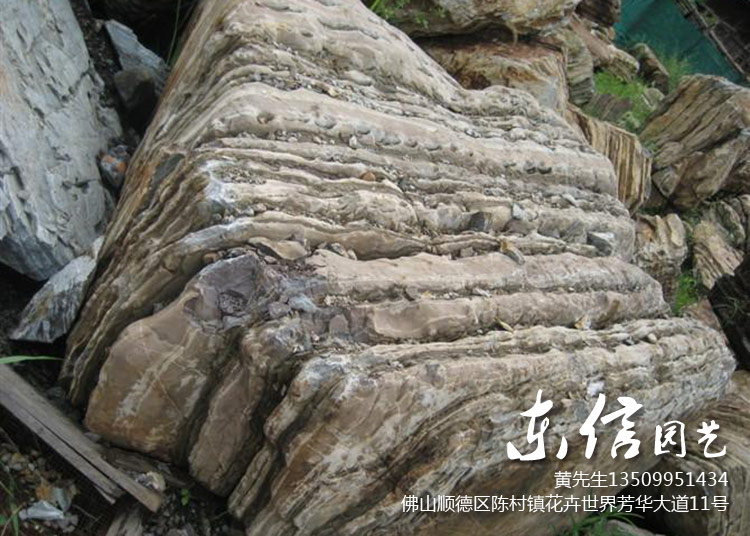 千层石