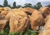 纯黄腊石--园林石