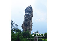 园林石批发